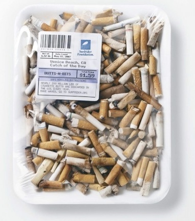 Cigarettes stubs ready for eating.