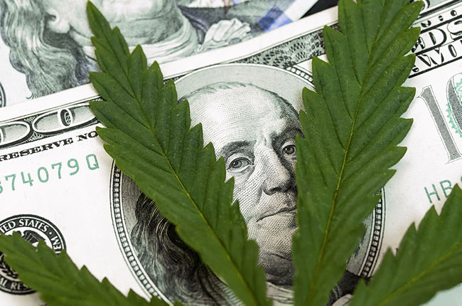 Cannabis leaf on top of a dollar bill.