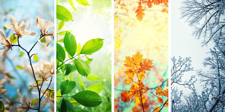 Seasonal Vape Flavours: E-Liquids for Spring, Summer, Autumn & Winter