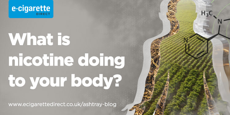 What Does Nicotine Do to Your Body? The Answer Might Surprise You...