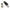 Aspire Nautilus Mini: coil and atomiser and strip of five replacement coils.